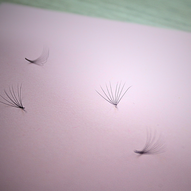 Loose ProMade Volume Fans: 8D .03 D Curl Lash